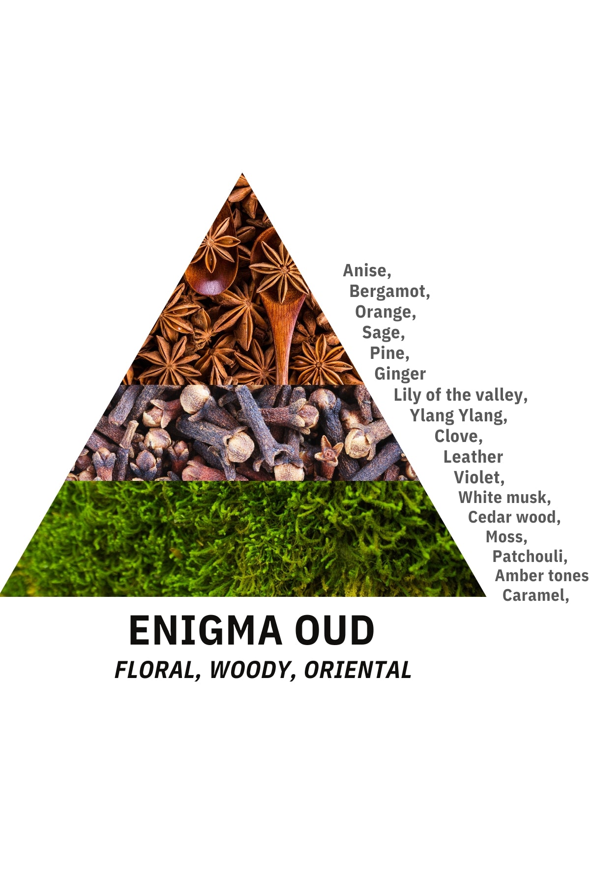 Enigma Oud